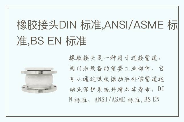橡膠接頭DIN 標準,ANSI/ASME 標準,BS EN 標準
